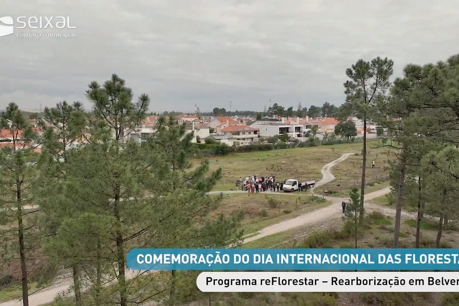 Dia Internacional das Florestas